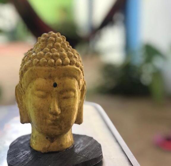 膳宿费 Hostel Flor Da Vida