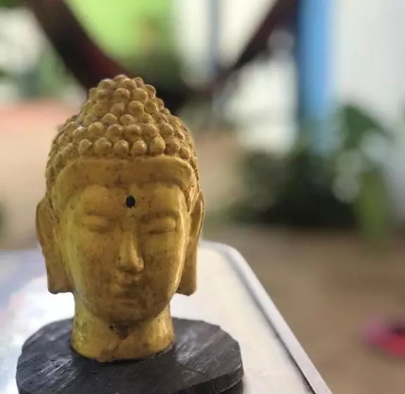 ペンション Hostel Flor Da Vida