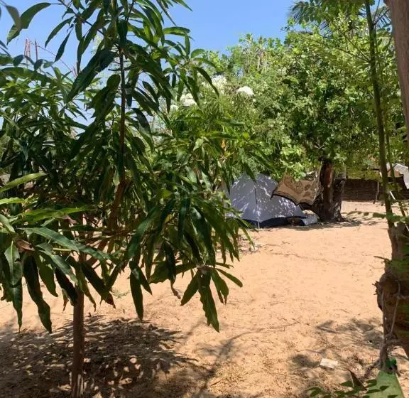 ペンション Hostel Flor Da Vida