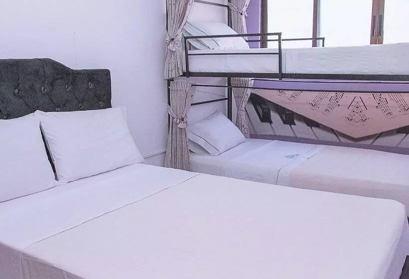 ホテル Casa Alejandra