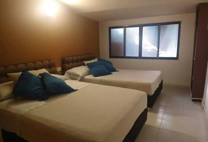 ホテル Casa Alejandra