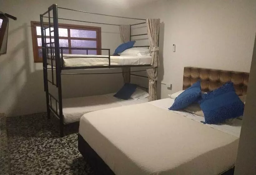ホテル Casa Alejandra