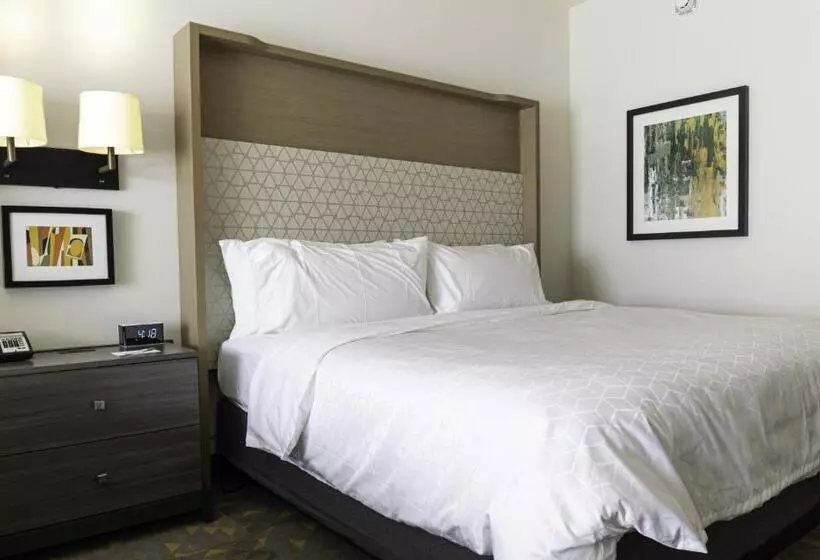 هتل Holiday Inn Glendale   Stadium & Ent Dist