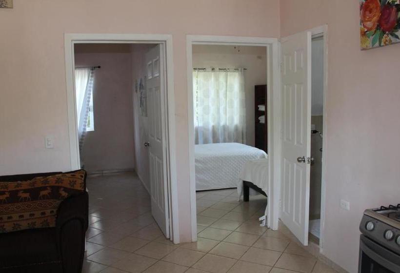 ホテル Mayan Villas Inn A Dream Vacation B&b