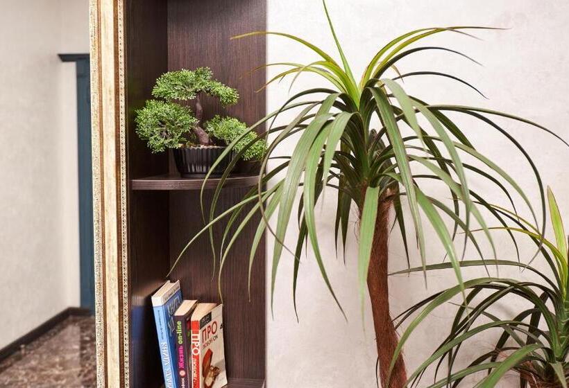 הוסטל хостел Perron