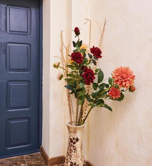 הוסטל хостел Perron