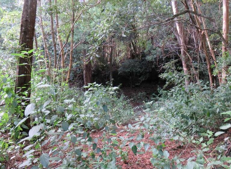 ホテル Cabanas Da Viscondessa