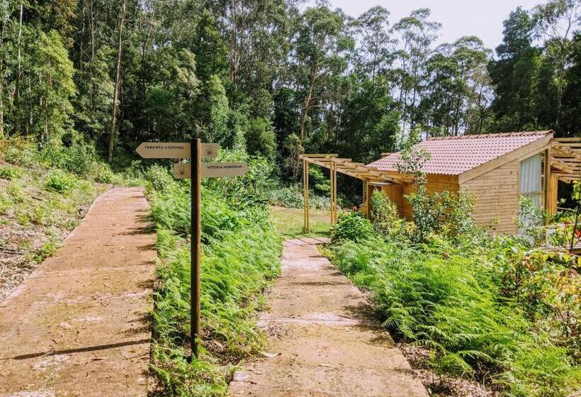 ホテル Cabanas Da Viscondessa