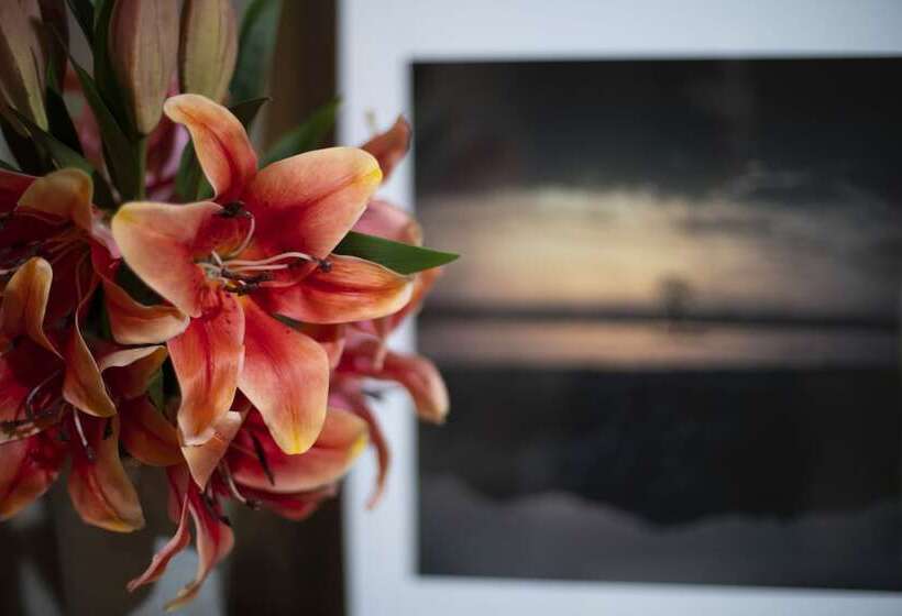 Hotel Canto Do Irere   Boutique