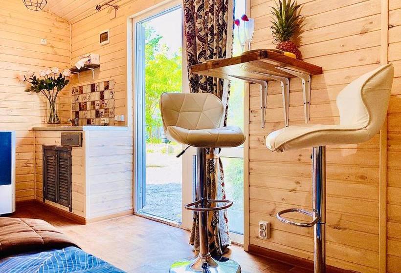 پانسیون родные стены