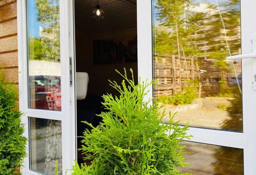 پانسیون родные стены