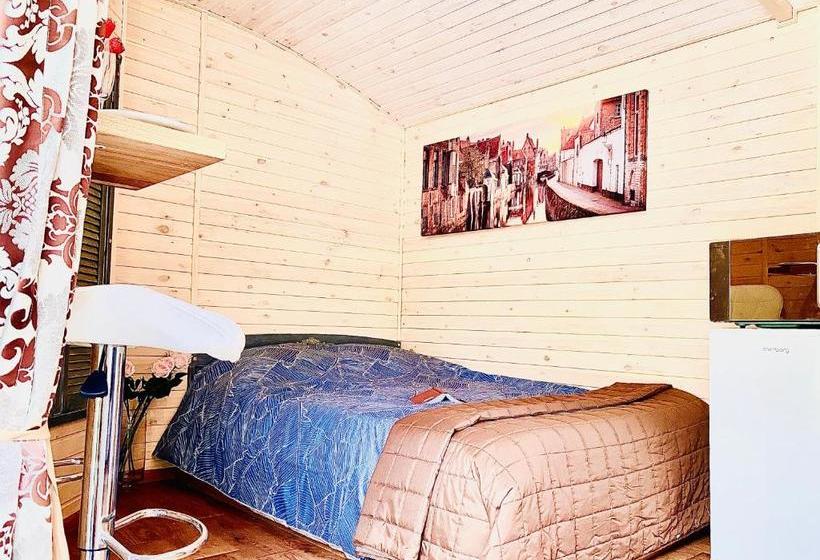 پانسیون родные стены