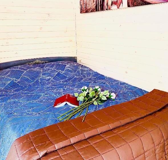 پانسیون родные стены