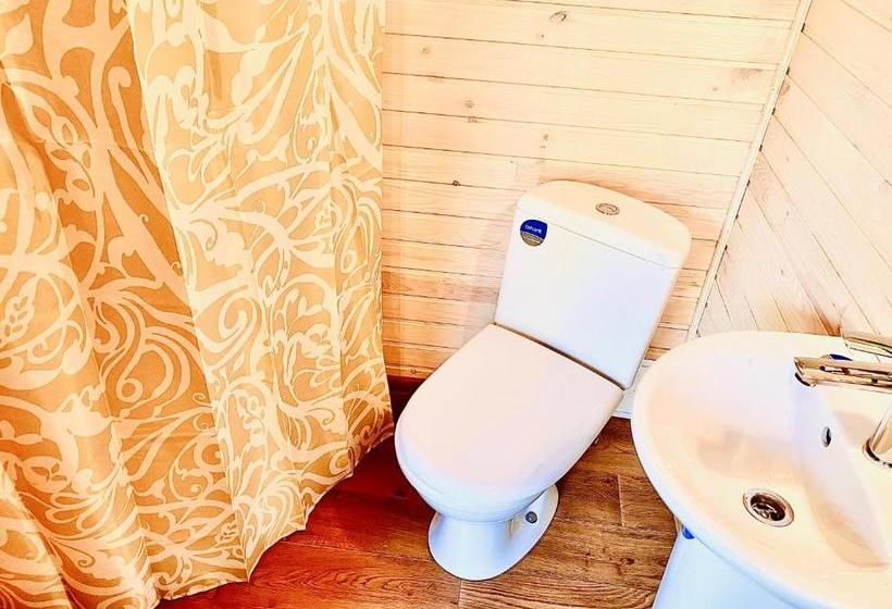 پانسیون родные стены