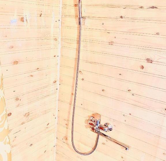 پانسیون родные стены