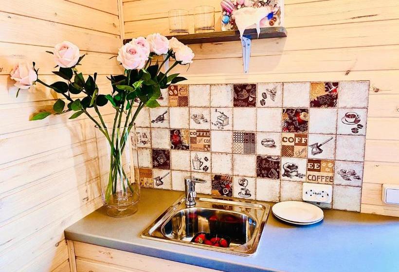 پانسیون родные стены