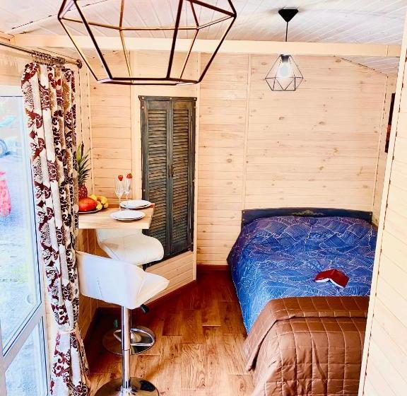 پانسیون родные стены