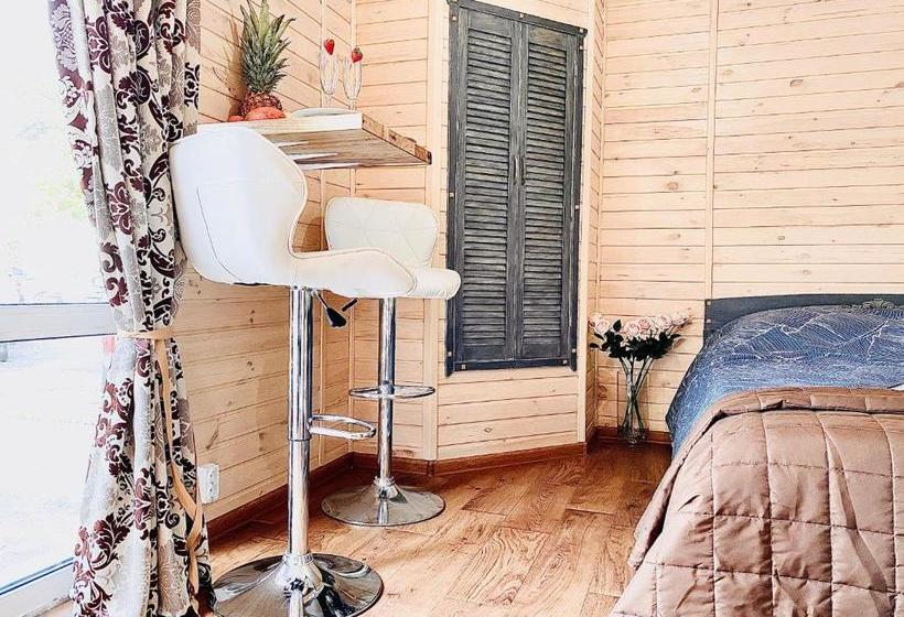 پانسیون родные стены