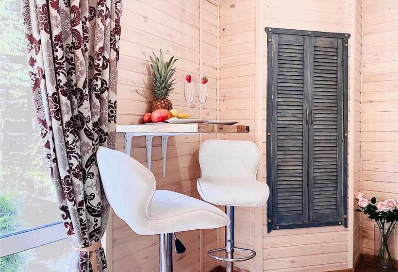 پانسیون родные стены