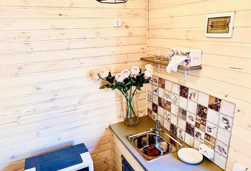 پانسیون родные стены