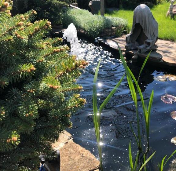 פנסיון гостевой дом