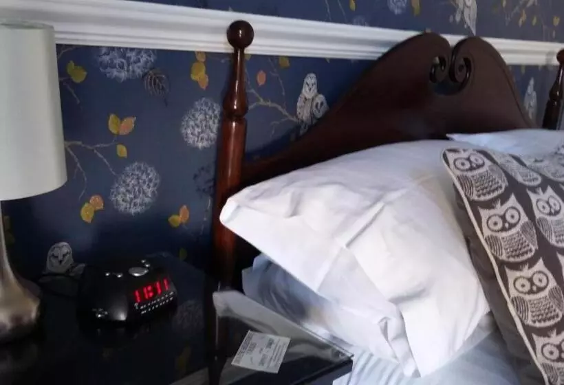 فندق Maison Dieu Guest House