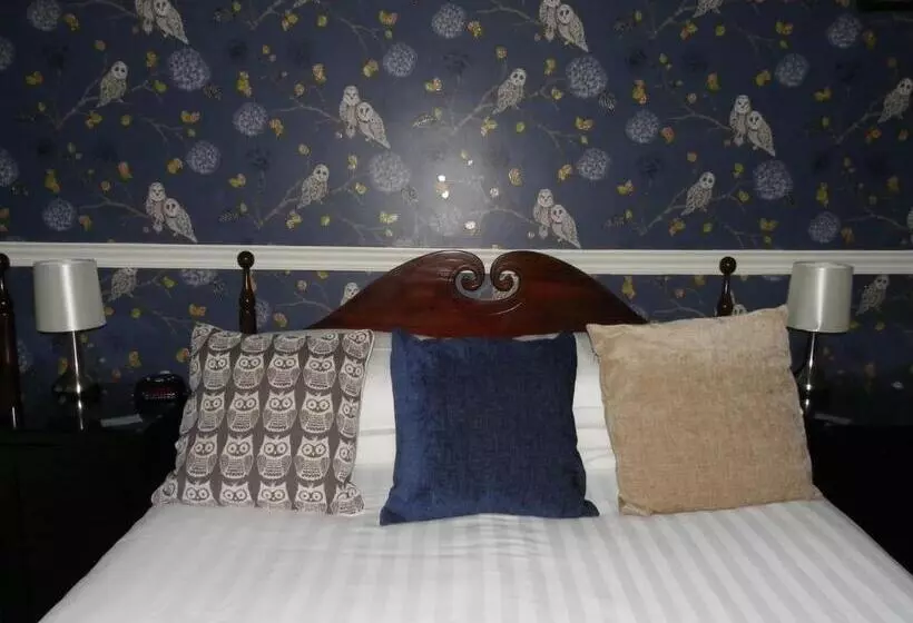 فندق Maison Dieu Guest House