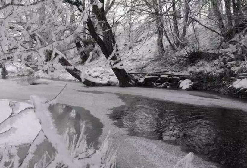 Hotelli Newmill Farm