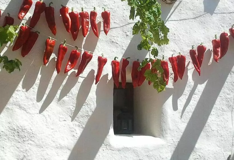 Hotel Rural Cortijo La Alberca