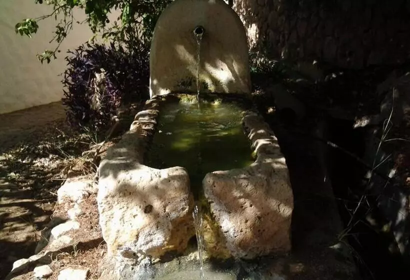 Hotel Rural Cortijo La Alberca