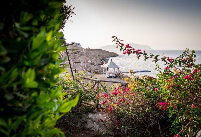 Hotel Siva Sharm Resort & Spa Couples And Families Only