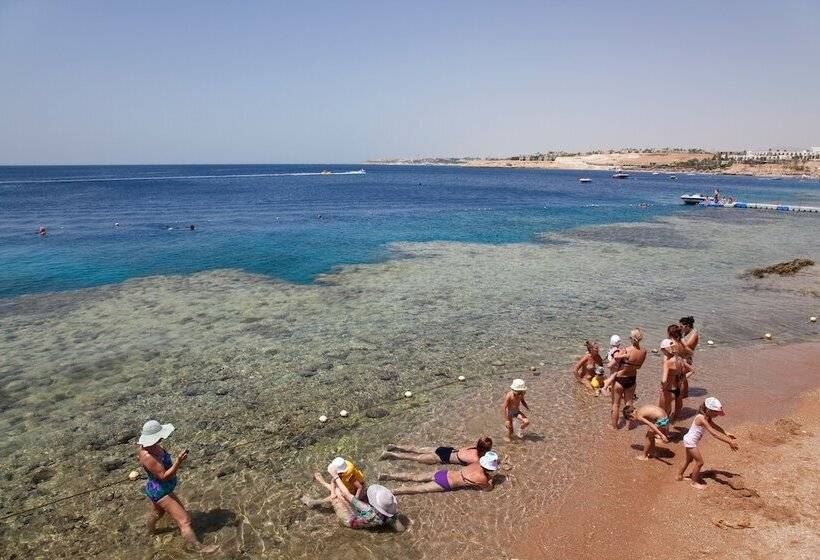 Hotel Siva Sharm Resort & Spa Couples And Families Only