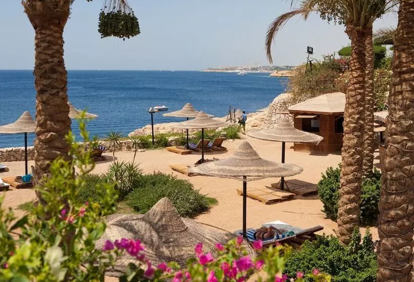 هتل Siva Sharm Resort & Spa Couples And Families Only