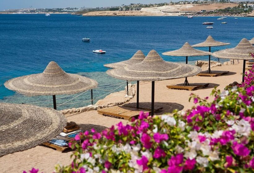 Hotel Siva Sharm Resort & Spa Couples And Families Only
