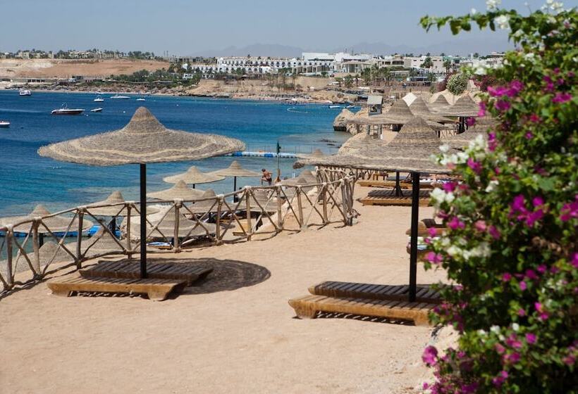 Hotel Siva Sharm Resort & Spa Couples And Families Only