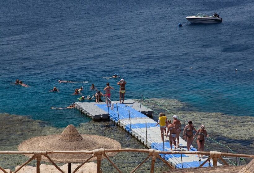 Hotel Siva Sharm Resort & Spa Couples And Families Only