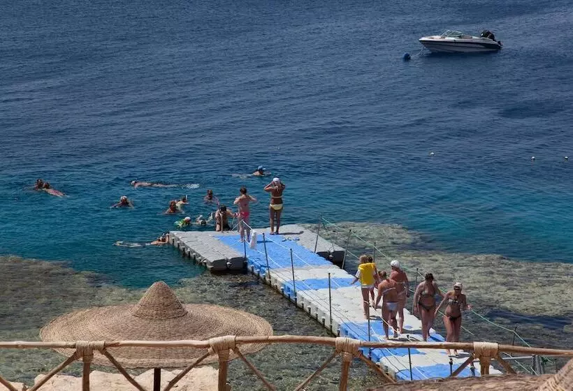 هتل Siva Sharm Resort & Spa Couples And Families Only