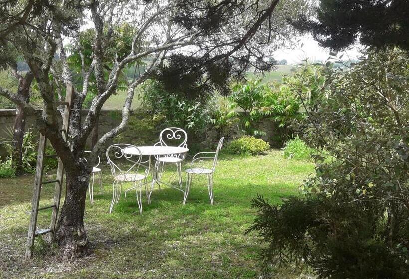 Bed and Breakfast Chateau De La Grave