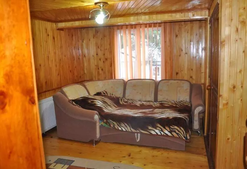 Hotelli сосновий двір