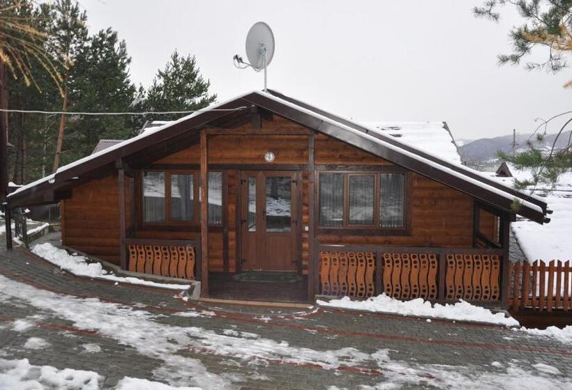 Отель сосновий двір