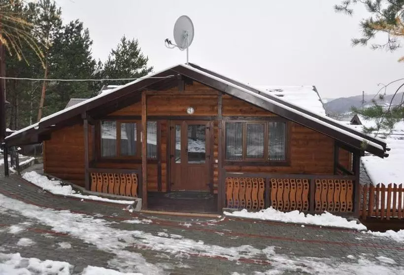 Hotelli сосновий двір