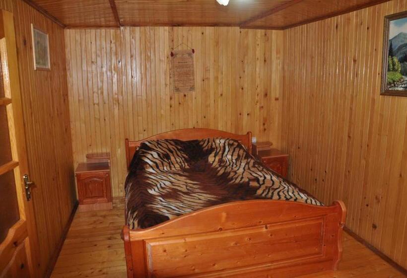 Отель сосновий двір