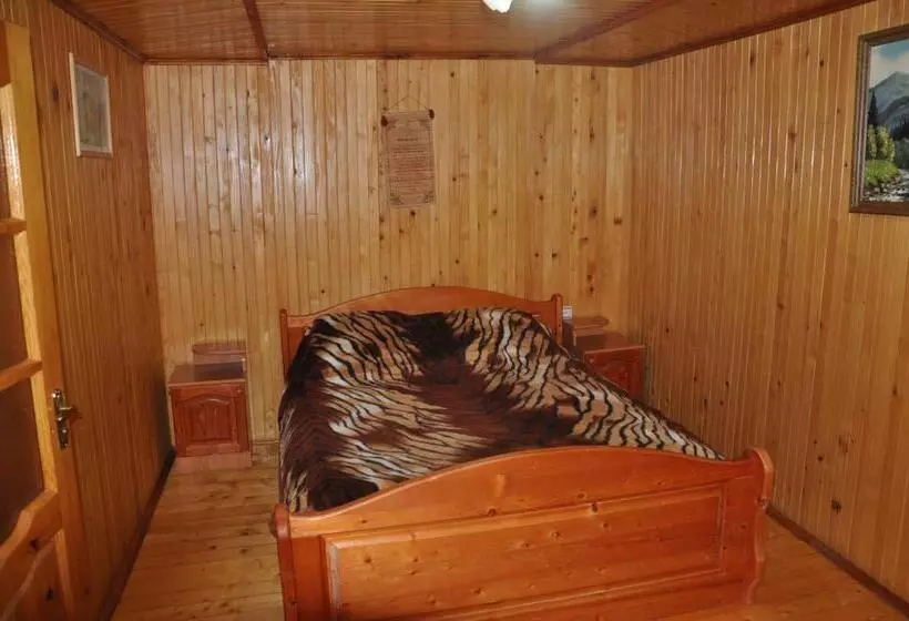 Hotelli сосновий двір