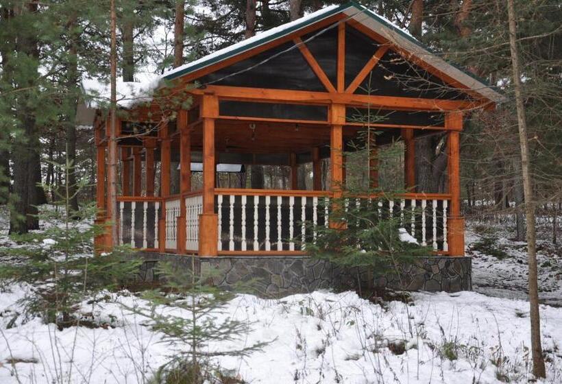 Отель сосновий двір