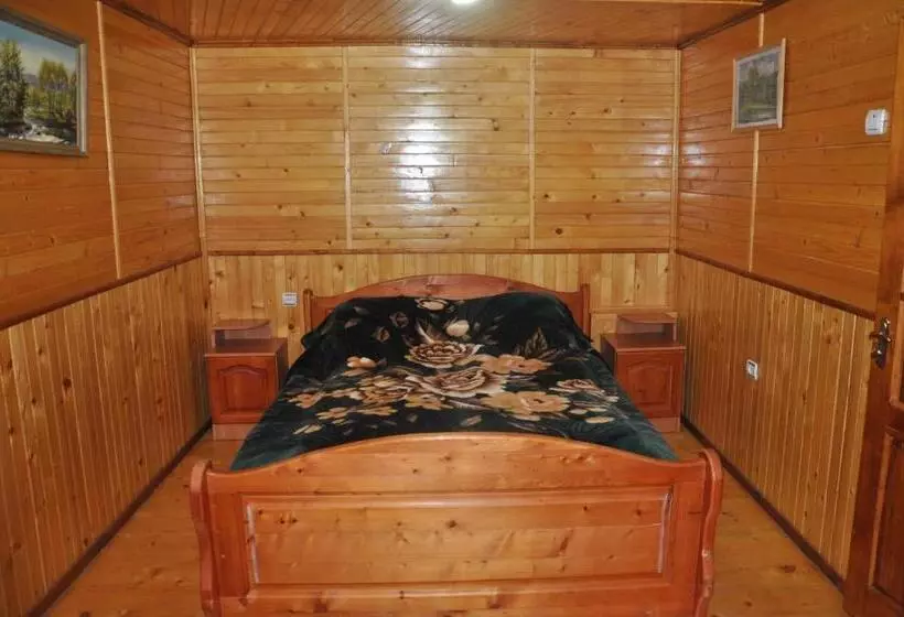 Hotelli сосновий двір