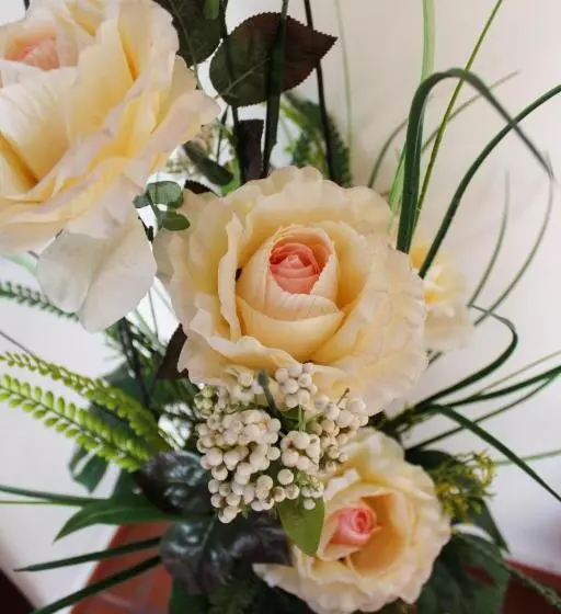 Hotelli Colonial San Felipe