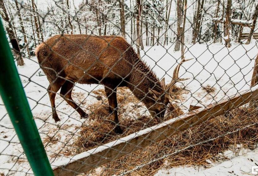 ホテル Karpatska Vezha