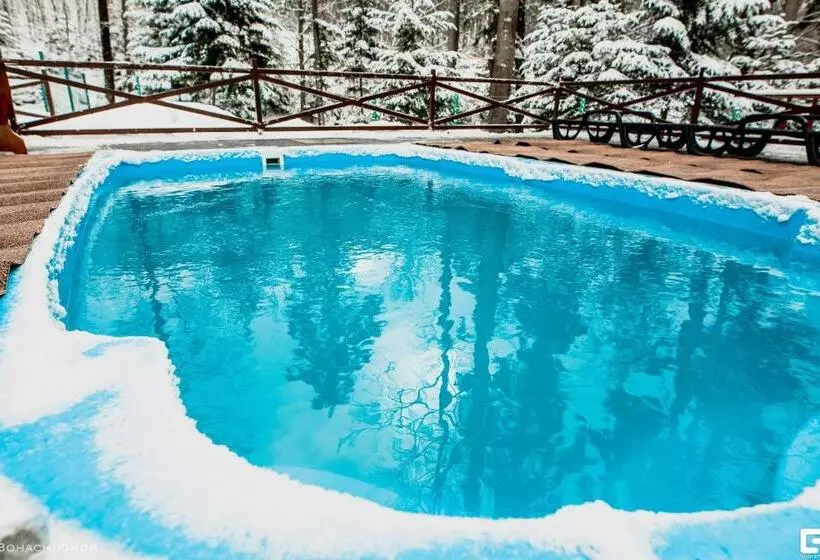 ホテル Karpatska Vezha