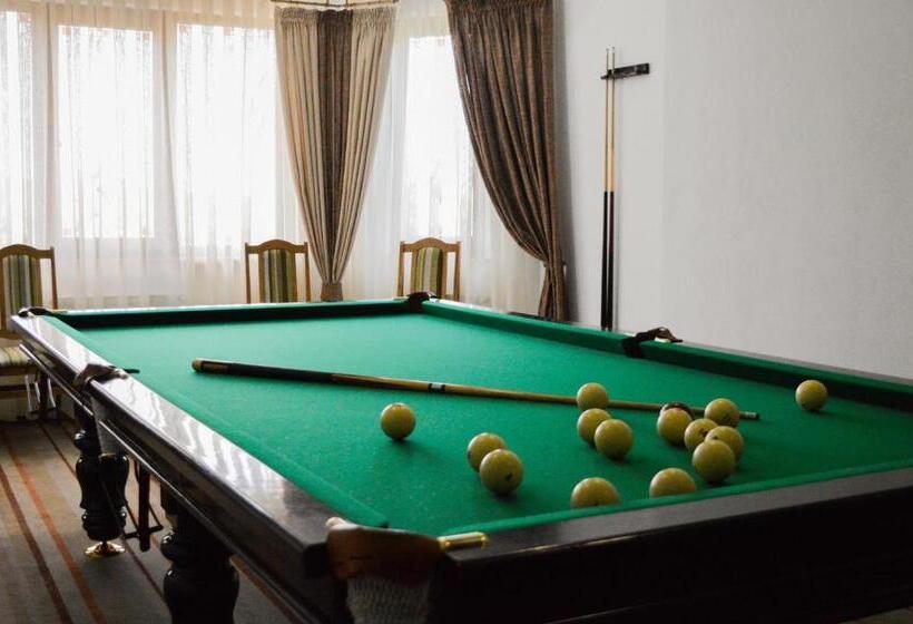 ホテル Karpatska Vezha