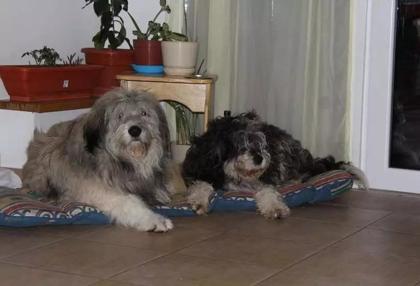 Majatalo Casuta Didi